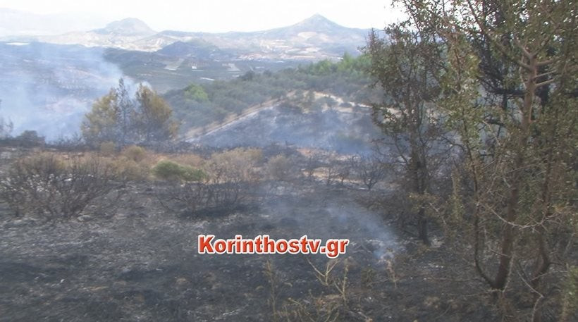Ανεξέλεγκτη για τρίτη μέρα η φωτιά στο Κούτσι Νεμέας – Δεκάδες στρέμματα με ελιές και αμπέλια καμένα